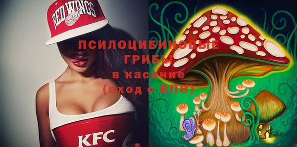дживик Алексин