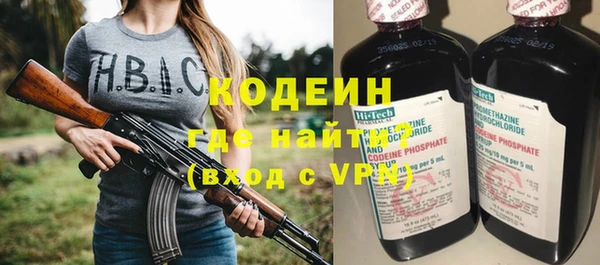 гидра Няндома
