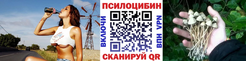 Галлюциногенные грибы ЛСД  где купить наркоту  Алексеевка 